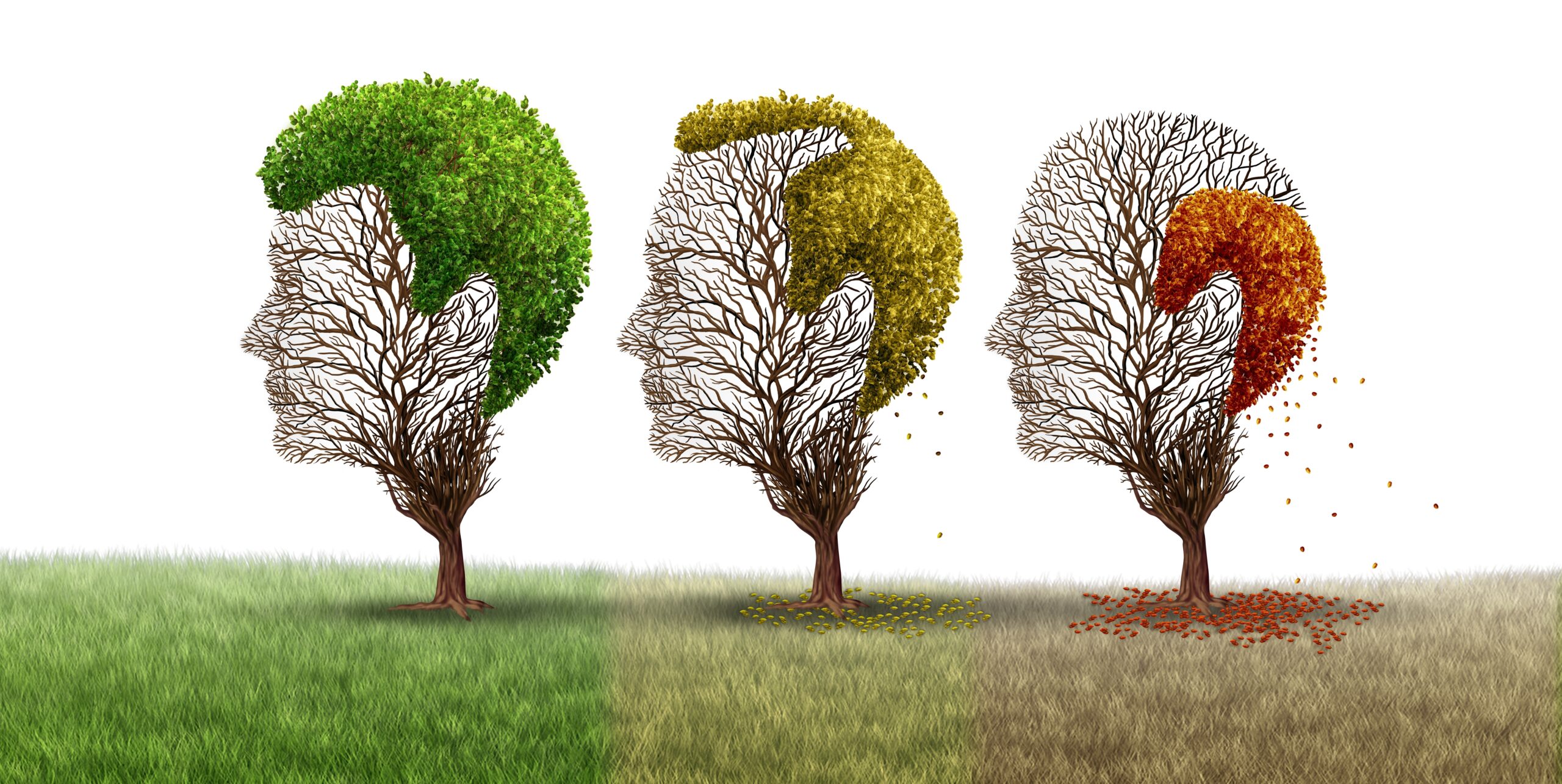 Aging,Hair,Loss,Concept,Or,Androgenetic,Alopecia,As,A,Age