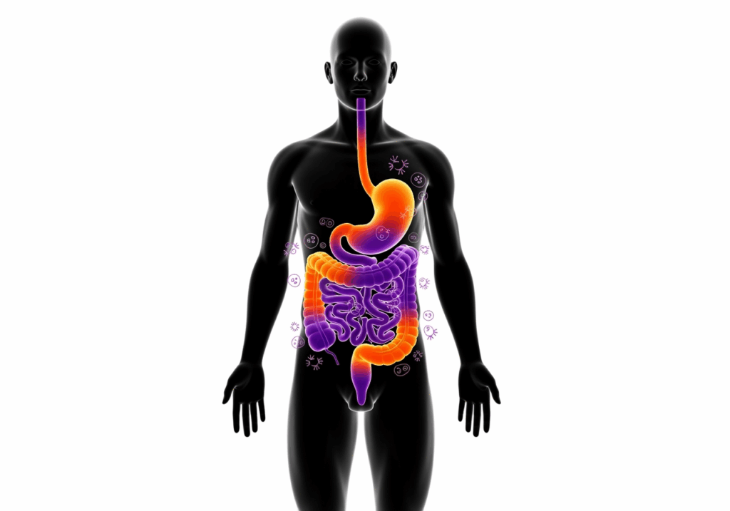 MCAS and gastrointestinal symptoms courierpharmacy.co.uk