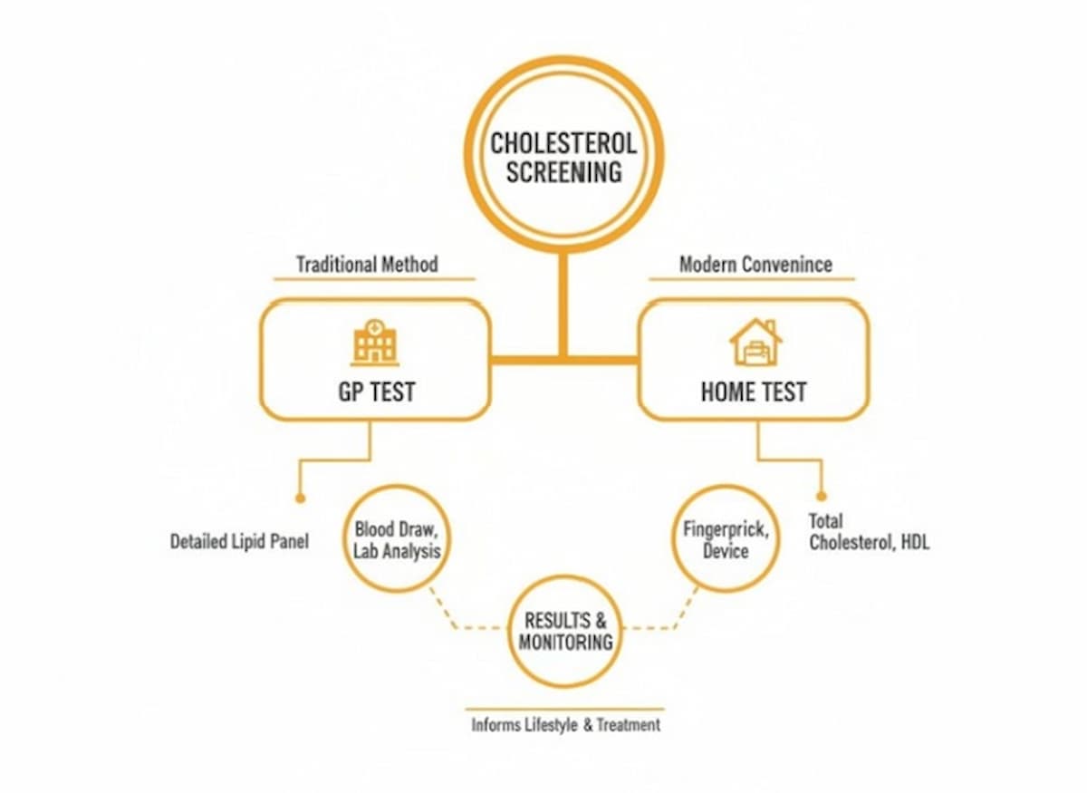 courierpharmacy.co.uk infographic showing cholesterol screening options: traditional GP test with blood draw and detailed lipid panel, versus modern home test using a fingerprick device measuring total cholesterol and HDL, leading to results and monitoring that inform lifestyle and treatment.