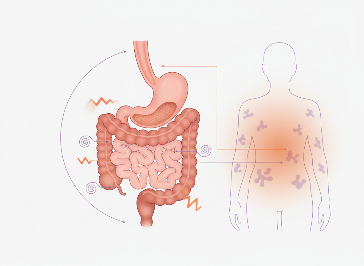 (courierpharmacy.co.uk): Clean technical cutaway illustration of the digestive tract with subtle symptom cues shown as icons without labels.